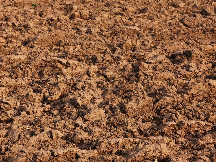 Mud, generic