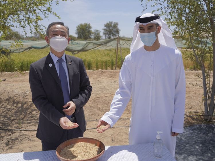 NAT 200603 Minister Al Zeyoudi with Korean ambassador-1591184744843