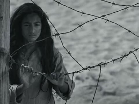 A screengrab from the trailer of 'Scales'