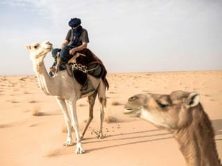 On a caravan, with one of the Sahara's last European explorers
