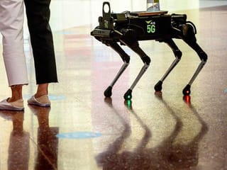 Robot dog hounds Thai shoppers to keep hands virus-free