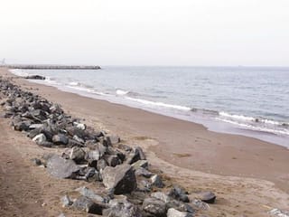 COVID-19: What’s open in Fujairah? Here is your detailed guide