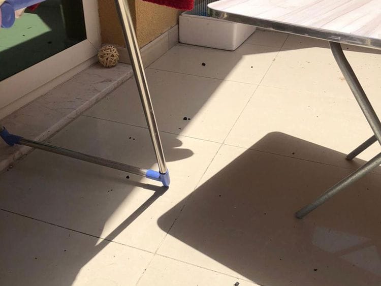 Man arrested for throwing shisha coal onto balconies below in Sharjah