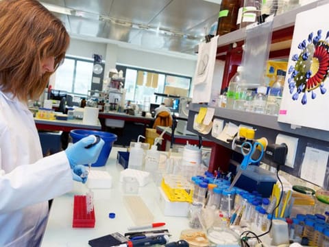 Sandrine Belouzard, virologist and researcher, works in her epidemiology laboratory of the Infection and Imminence Center at the Pasteur Institute of Lille in Lille, France. The research institute sequenced the genome of coronavirus using blood samples taken from the first confirmed French cases. 