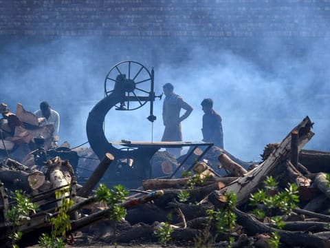 Kashmir's forest department workers seized 4,342 cubic feet of timber from smugglers in the past two months, as well as confiscating 13 vehicles and 41 horses, and filed 103 police reports against 306 perpetrators. Picture for illustration only. 