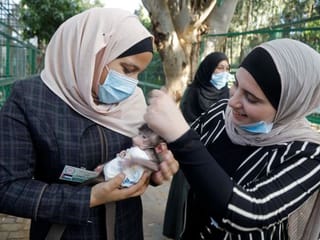 Photos: Animal baby boom at Palestinian zoo after people disappear