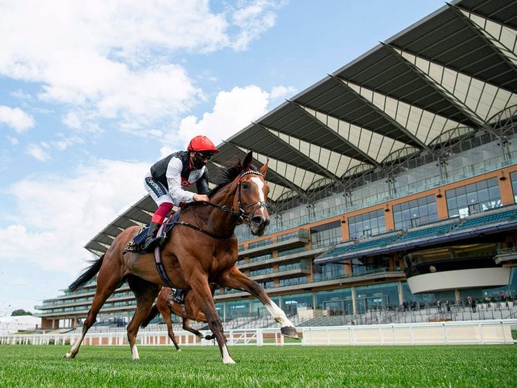 Royal ascot still managed to thrill, despite the lack of fans