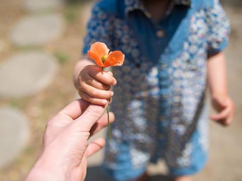 Raising kind kids