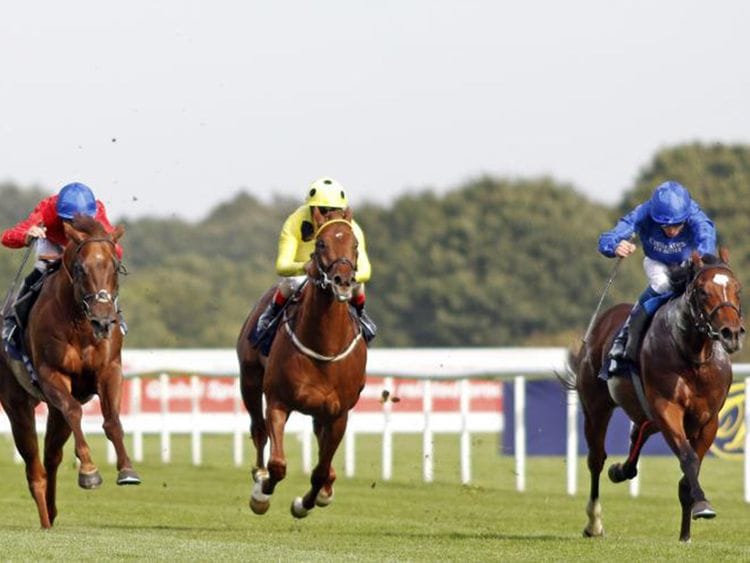 Close second for Royal Crusade in the Group 2 Champagne Stakes at Doncaster last season. 
