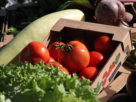 Whether it is agritech initiatives or creating state-of-the-art food processing hubs, the UAE is connecting the dots in its food security strategy. 