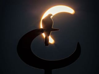 #SolarEclipse2020: Top social media trend in the UAE, and around the world. Here are some reader photos...