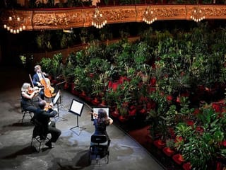 Songs for succulents: Barcelona opera reopens with plant concert