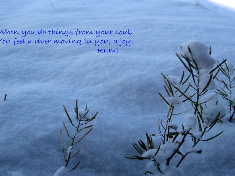 Thought Rumi