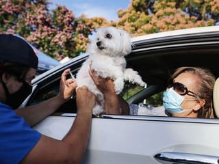 COVID -19: Drive-in boom in post coronavirus pandemic world


