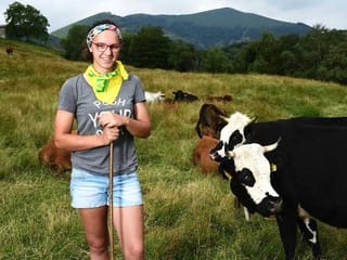 Young Italians pick cows over clubbing in Italy