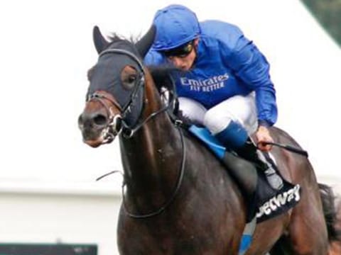 Godolphin's Al Suhail