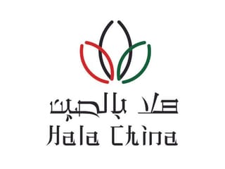 UAE and China look to revive bilateral economic activity through Digital Expo