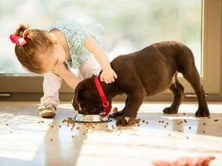Pet dogs may improve social-emotional development in kids