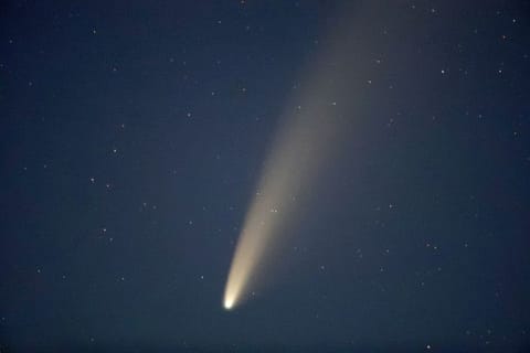 The comet Neowise or C/2020 F3 is seen  over the Turets, Belarus, 110 kilometers (69 miles) west of capital Minsk, early Tuesday, July 14, 2020. (AP Photo/Sergei Grits)