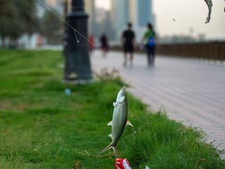 In pictures: UAE residents try their hands at fishing, get connected with nature