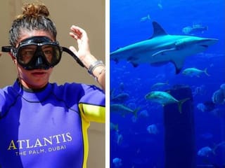 Diving with sharks at Atlantis The Palm Dubai
