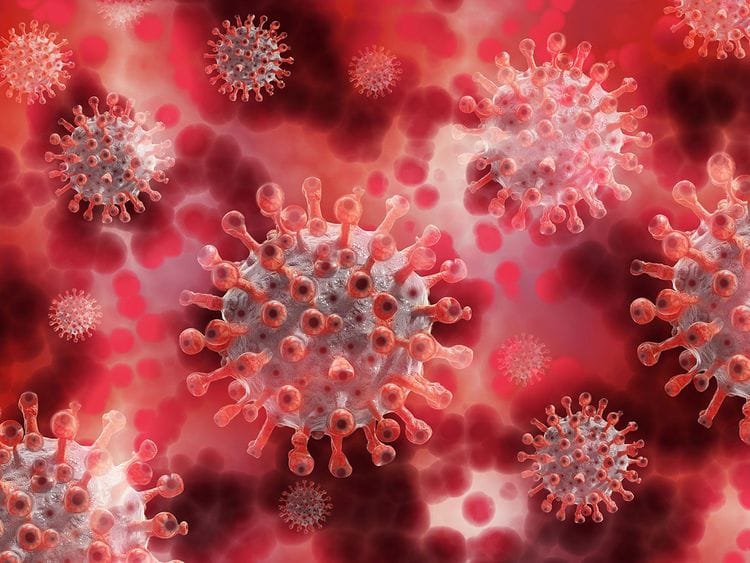 Coronavirus