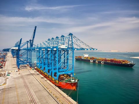  Abu Dhabi Ports, an ADQ company (formerly Abu Dhabi Developmental Holding Company), will take charge of the emirate’s waterways and marine ecosystems under the formation of the new Abu Dhabi Maritime.