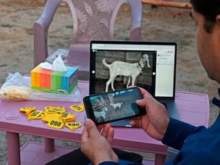COVID-19 fears forces animal sellers online for Eid Al Adha