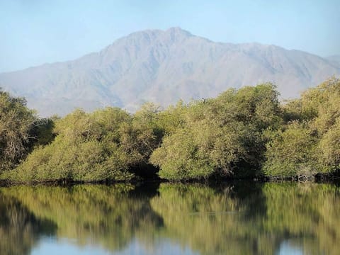 Alqurm Protected Area