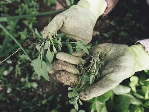 UAE scales up food production with 140 new products in pipeline