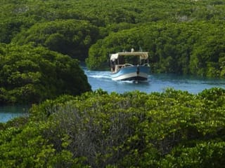 Saudi archipelago Farasan in bid to enter UNESCO’s Man and Biosphere list