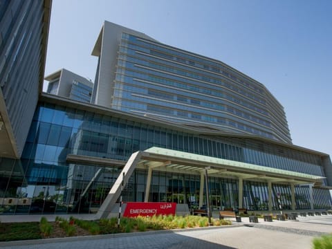 Officials assess hospital care, emergency coordination and recovery efforts.