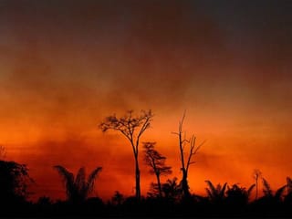 Brazilian Amazon again under threat from forest fires