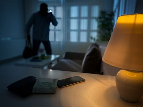 Dubai Police records show that 90 per cent of home thefts are due to the hiring of illegal domestic workers.