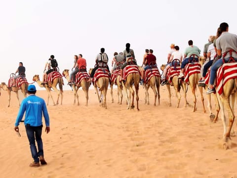 Dubai’s popular desert safari has been ranked the world’s top tourism experience with camel riding and desert BBQ offering winning global award.