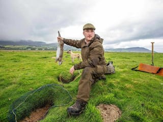 On burrowed time: Hunting with Ireland's last rabbit catcher