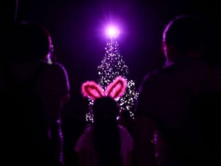 Look: People enjoying the 2020 Beijing International Light Festival