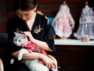 Catwalk: Pet clothing designer inspired by ancient Chinese beauties