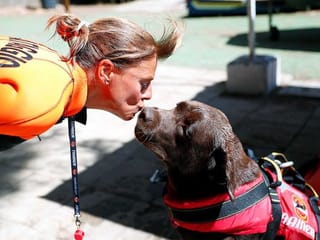 In Pictures: Pooches join Italy beach patrol