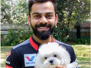 IPL in UAE: Every dog has its day with IPL players