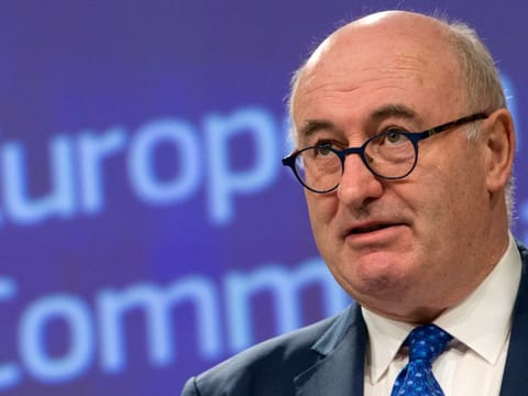 European Commissioner for Agriculture Phil Hogan speaks during a media conference at EU headquarters in Brussels, on April 8, 2019.