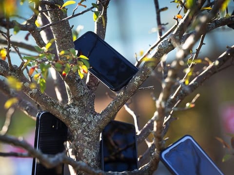 Some drivers were putting smartphones in trees outside Whole Foods and Amazon delivery stations in the Chicago area to get a jump on rivals.
