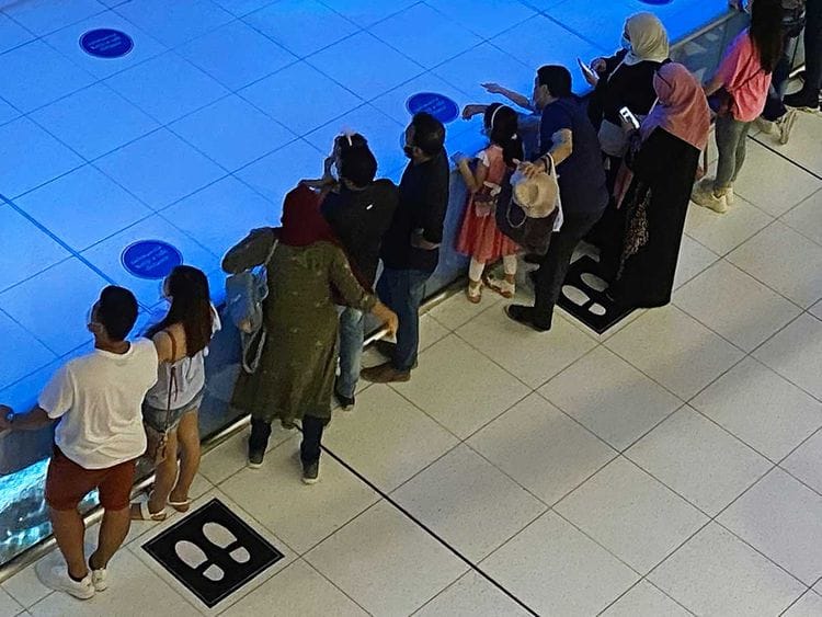 Social violation