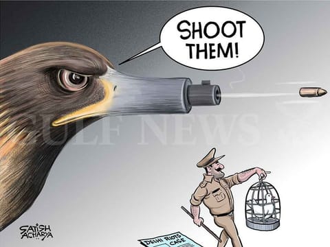 Satish Acharya, Special to Gulf News