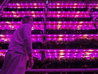 Pandemic forces 'pink farm' to get creative in Brazil