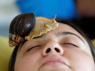Photos: Slimy snail facials not for the faint-hearted