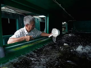 Photos: Former shipping container maker uses them to farm