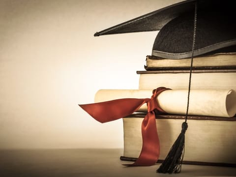 The new bachelor's programme supports Mohamed Bin Zayed University for Humanities' strategic growth aspirations to enhance its course offerings.