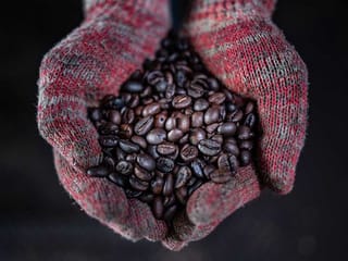 Daily grind: Malaysian mill makes coffee the old-fashioned way