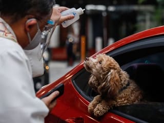 COVID-19 pandemic prompts drive-through pet blessing in Philippines 